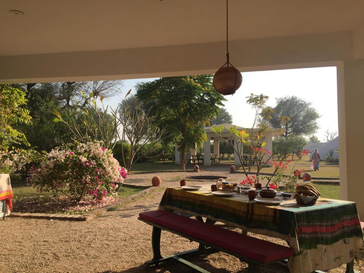 Hotel Savista Retreat à Jaipur Extérieur photo